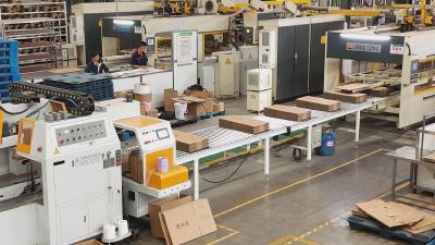 【视频】一条生产线每分钟可生产纸箱300个 湖北恒大包装“火力全开”赶订单