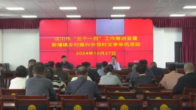 【视频】我市召开“三个一百”活动推进会