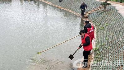 【清洁家园】“不留盲区不走过场” 巾帼力量奋斗在清洁家园第一线