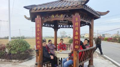 成功人士反哺家乡，共绘乡村振兴新图景