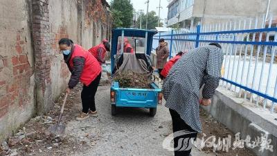 【清洁家园】分水镇新街村志愿者在行动