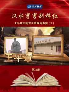 视频 | 《汉水弯弯别样红》第3期_王平章大闹省长萧耀南寿宴（2）