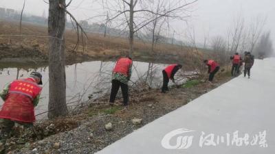 植树添新绿 共建万树村  
