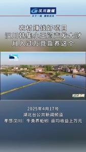 视频 | 农村赚钱好项目！ 汉川韩集小王闷声发大财， 月入过万竟靠养这个！
月入过万竟靠养这个！