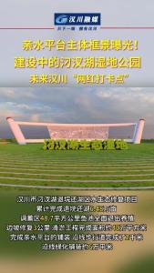 视频 | 亲水平台主体框景曝光！建设中的汉川市汈汊湖湿地公园 未来汉川“网红打卡点”