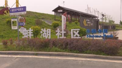 华严农场：万树成荫绘新景 干群携手谱绿韵
