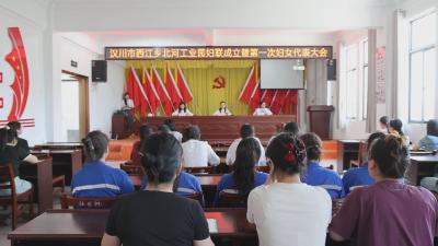 【视频】汉川西江北河工业园区妇联成立
