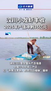 视频 |  汉川小龙虾丰收 2025年产值冲刺35亿元