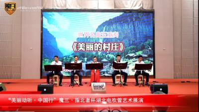 汉川市快乐电声乐队演奏的五重奏《美丽的村庄》斩获湖北赛区金奖