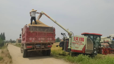 里潭乡：唱响丰收的序曲