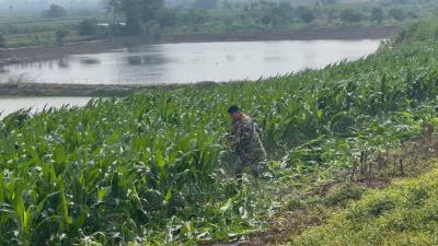 【视频】汉川：清理违规种植 守护河道生态