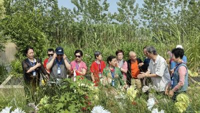 知青重返“第二故乡”共叙往昔情谊