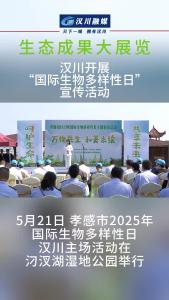 视频 | 生态成果大展览：汉川开展“国际生物多样性日”宣传活动