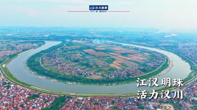 视频 | 江汉明珠 活力汉川