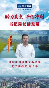 视频 | 《助力支点 千亿冲刺--书记局长话发展》专访汉川市仙女山街道党工委书记谢文华