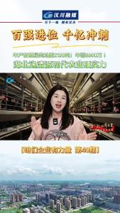 视频 | 年产富硒绿壳鸡蛋2130吨！年销8600万 ！湖北逸清源现代农业硬实力