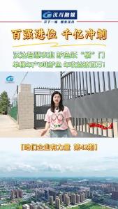 视频 | 汉达智慧农业：鲈鱼跃“桶”门 （单桶年产3吨鲈鱼，年收益破百万！）