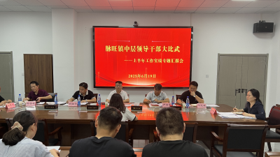 脉旺镇中层干部“大比武”亮实绩 砺剑提能锻造发展铁军