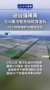 视频 | 迎战强降雨  汉川南河党员抢捡突击队  24小时抢排积水降低损失