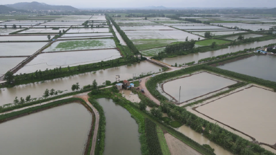 【视频】迎战强降雨！汉川抢险突击队24小时抢排显担当