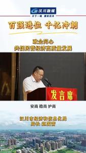 视频 | 政企同心 共促民营经济高质量发展 汉川市经济和信息化局 局长 赵国营
