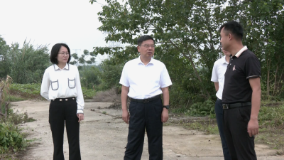 【视频】孝感市政协领导来我市调研河湖长制工作