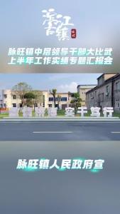视频 | 脉旺镇中层领导干部大比武上半年工作实绩专题汇报会