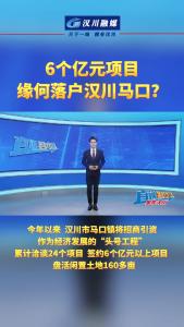 视频 | 6个亿元项目，缘何落户汉川马口