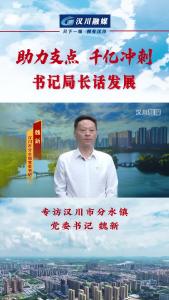 《助力支点 千亿冲刺--书记局长话发展》专访汉川市分水镇党委书记魏新