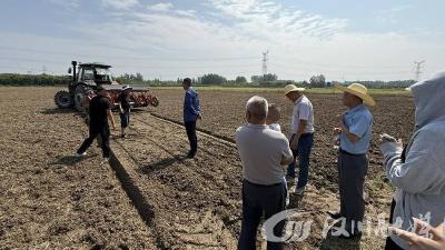 马鞍乡棉花提质增效示范点：科技引领棉花产业新变革