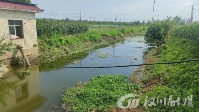 杨林沟镇：后湖渠里无“后顾”
