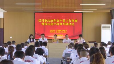 【视频】汉川90多个农产品电商示范户集中“充电”