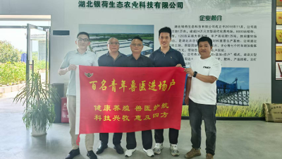 “青年兽医进场户”高温下筑牢畜禽养殖安全线