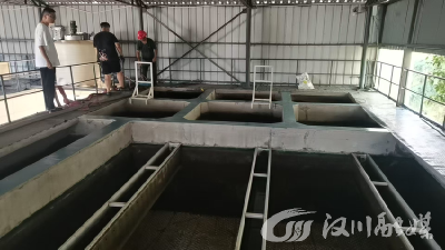 马口制水厂“大扫除”：为居民用水“净”心护航