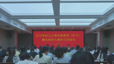 ​【视频】市妇儿工委全体（扩大）会议暨未成年人保护工作会议召开