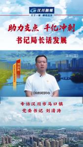 视频 | 《助力支点 千亿冲刺--书记局长话发展》专访汉川市马口镇党委书记刘清涛