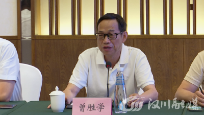 【视频】王昆会见深圳市湖北商会考察团