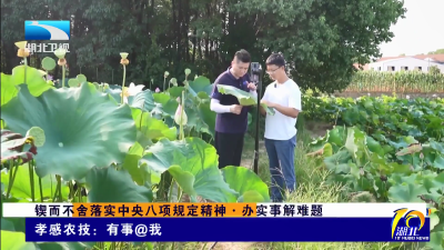 【视频】从“指尖”到田间 汉川农技推广架起新媒体“连心桥”