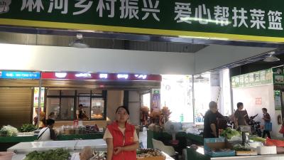 麻河志愿红：用实干担当绘就民生暖色
