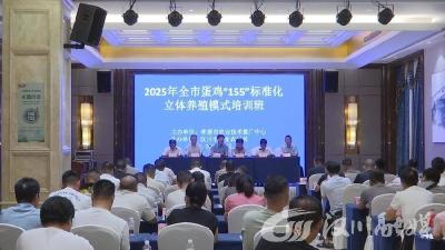 【视频】孝感市全面推行蛋鸡“155”标准化立体养殖