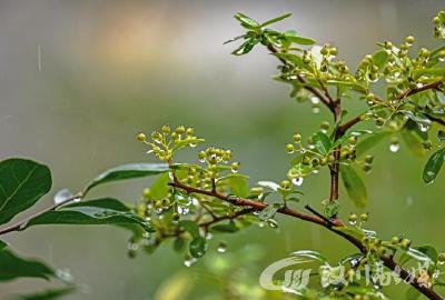 节气科普丨立秋之后，天气就会变凉快吗？