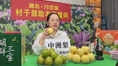 【视频】汉川：广告团队转型视频电商 助力土特优销全国