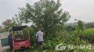 新堰镇良湾村：剪枝除草，道路“焕新颜”
