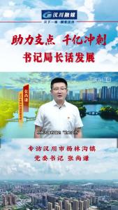 视频 | 《助力支点 千亿冲刺--书记局长话发展》专访汉川市杨林沟镇党委书记 张尚谦