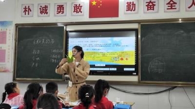 庙头镇平章小学开展“同课异构”教学研讨活动