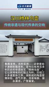 视频 | 汉川杨林乌壶：传统非遗与现代传承的交响