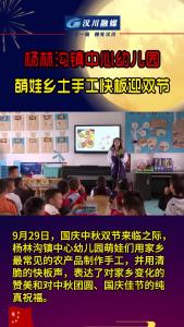 视频 | 汉川市杨林沟镇中心幼儿园萌娃乡土手工快板迎双节