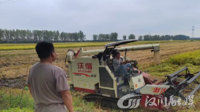 汉川市分水镇余台村：低茬收割护生态 秸秆禁烧绘蓝天