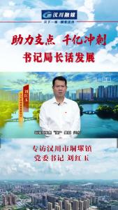 视频 | 《助力支点 千亿冲刺--书记局长话发展》专访汉川市垌塚镇党委书记 刘红玉