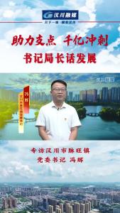 视频 | 《助力支点 千亿冲刺--书记局长话发展》专访汉川市脉旺镇党委书记 冯辉